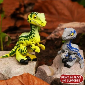 photo_2025-10-10_12-50-46