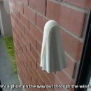 photo_2025-10-10_14-52-37