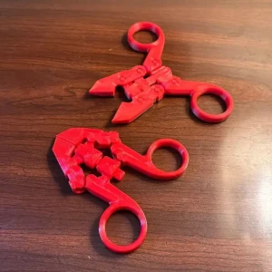 photo_2025-10-10_15-02-02