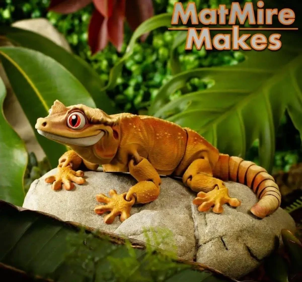 photo_2025-10-10_16-24-45