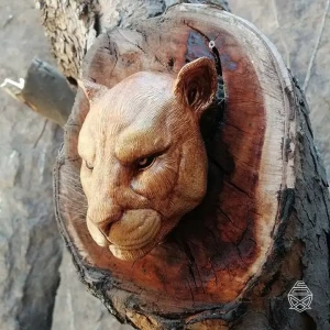 photo_2025-10-10_18-07-22