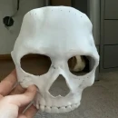 photo_2025-10-12_18-20-36