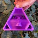 photo_2025-10-12_19-17-41