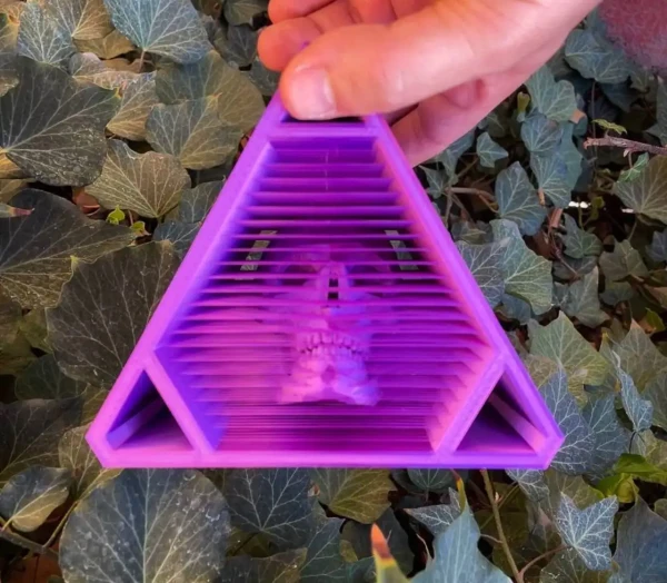 photo_2025-10-12_19-17-41