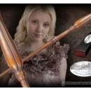 photo_2025-10-12_19-59-31