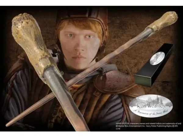 photo_2025-10-12_20-00-01