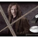 photo_2025-10-12_20-00-05