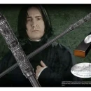 photo_2025-10-12_20-00-08