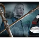 photo_2025-10-12_20-00-27